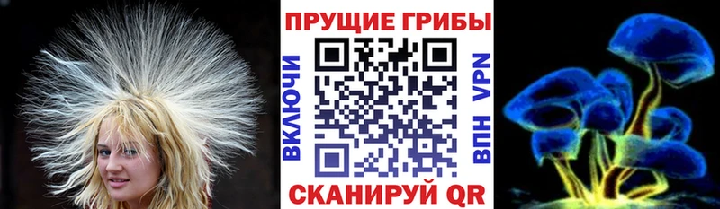 Псилоцибиновые грибы мухоморы  Саянск 
